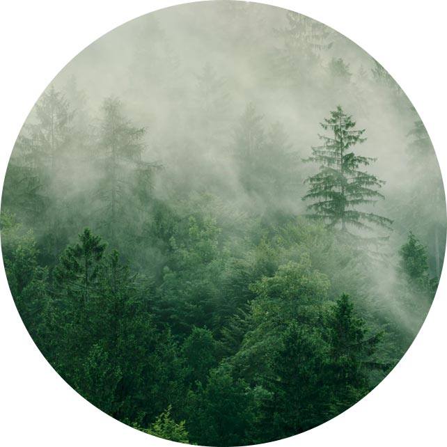 ইয়াংঝু সুকিয়াং মেডিকেল ইনস্ট্রুমেন্ট কোং, লিমিটেড।